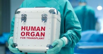 В Украине 25 медучреждений получили лицензии на трансплантацию органов