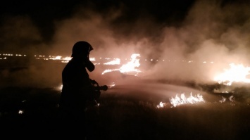 Аграрии сожгли 8 гектаров стерни в Николаевской области