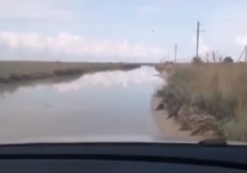 На Бирючий только вплавь - как сегодня выглядит дорога на остров (видео)
