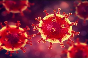 Ученые выяснили, чего больше всего боится коронавирус