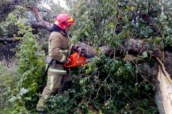 Появились фото и видео последствий урагана с градом в Хмельницкой области