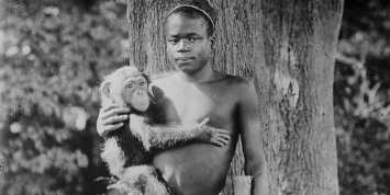 Зоопарк в Бронксе через 114 лет извинился за содержание темнокожего в клетке с обезьянами