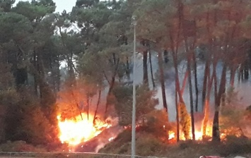 Во Франции за ночь сгорели 165 гектаров леса