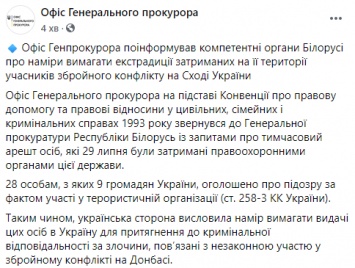 Украина просит Беларусь выдать ей 28 из 32 задержанных под Минском. Среди них 9 украинских граждан