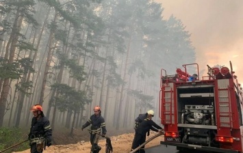 Площадь лесных пожаров в Украине возросла в 40 раз
