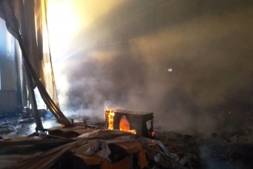 На Днепропетровщине из-за мусора разгорелся серьезный пожар
