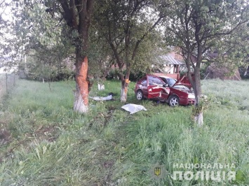 Под Ужгородом автомобиль врезался в дерево. Погибли два человека, двое в больнице