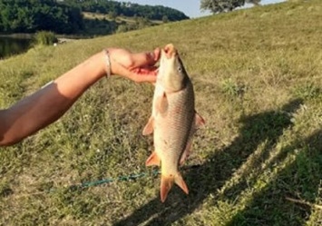 Юная рыбачка из Днепра заставила взрослых ахнуть от зависти. ФОТО