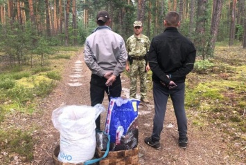 Радиационную чернику для продажи собирали в Чернобыльской зоне двое мужчин (ФОТО)