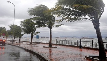 Тропический шторм "Исаиас" достиг побережья США
