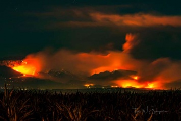 В Калифорнии вспыхнули мощные лесные пожары: тысячи людей эвакуировали