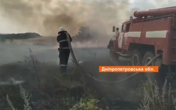 На Днепропетровщине фермер спалил десятки гектаров соседской пшеницы