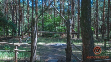 В лесопарке Днепра нашли капище с тотемами и кострами