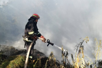 Пожары в лесах Днепропетровщины: спасатели просят беречь экосистемы