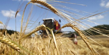 Аграрии Полтавщины завершили уборку ранних зерновых культур