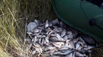 Браконьер из Кривого Рога наловил рыбы на 15 тысяч гривен
