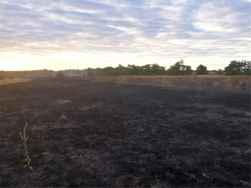 Четыре пожара в экосистемах Херсонщины произошли за сутки