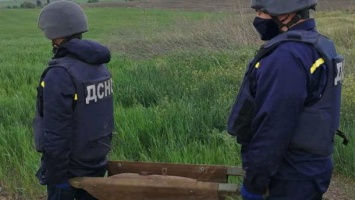 В питомнике на Тернопольщине нашли 40 авиабомб