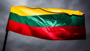 Литовским вооруженным силам и союзникам по НАТО не хватает пространства для военных учений