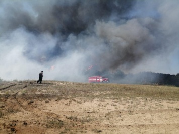 Под Николаевом горит сухая трава - пожар рисковал перекинуться на дачи и Галициновское урочище (ФОТО)