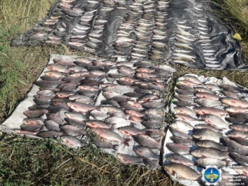 Ловись рыбка большая и маленькая: криворожанин-браконьер «натаскал» сетями рыбы почти на 15,5 тысячи гривен