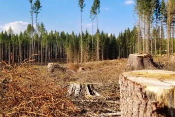 Украинский бизнес призвал власти навести порядок в экологическом контроле