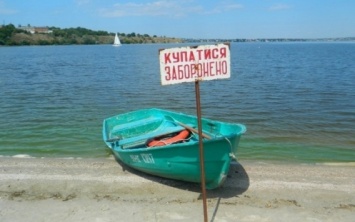 Николаевский пляж «Стрелка» - лидер по числу кишечной палочки