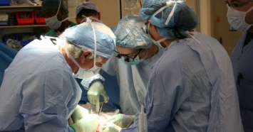 Кабмин утвердил порядок перевозки донорских органов для их трансплантации в Украине