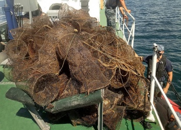 Морские пограничники выпустили из сетей браконьеров 800 краснокнижных крабов