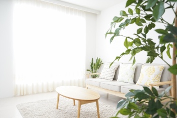 6 простых шагов, чтобы сделать свой дом более экологичным