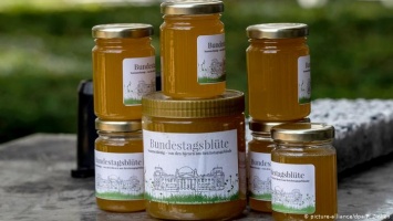 Мед со зданием Рейхстага (фото)