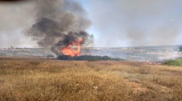 В Межевском районе выгорело 6 гектаров сухостоя