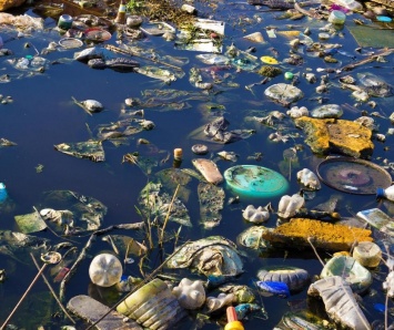 "Больше, чем мы могли себе представить": глава Госэкоинспекции рассказал о количестве мусора у Карпатских рек (фото)