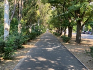 Не дорога, а ковер - что еще говорят о новом тротуаре жители Мелитополя (видео, фото)
