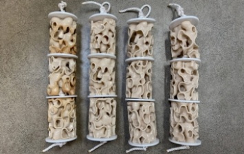 В США на 3D-принтере печатают коралловые рифы (фото)