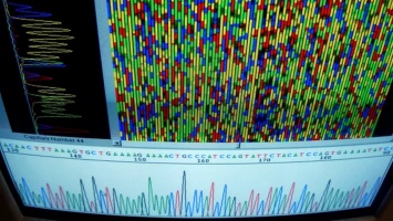 Из-за Microsoft Excel ученым пришлось переименовать 27 человеческих генов