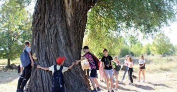 Ганьба! На Днепропетровщине вандалы повредили уникальную вербу