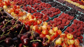 Украина сократила выручку от экспорта плодов и ягод