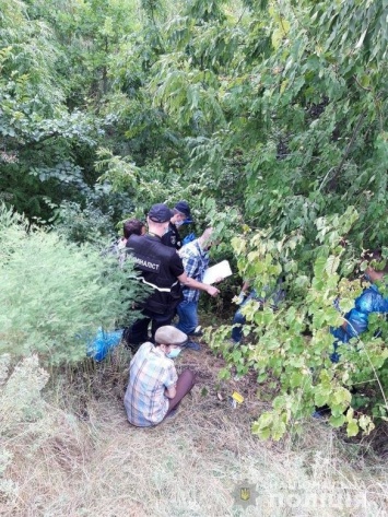 В Киевской области нашли убитой пропавшую 12-летнюю девочку: подробности