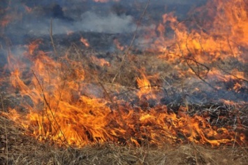 В Запорожской области пожары в полях и посадках тушили 86 спасателей