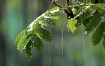 Грозовые дожди ожидаются в Крыму в ближайшие два дня