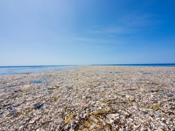 Растущий в Тихом океане мусорный континент достиг уже размера Франции