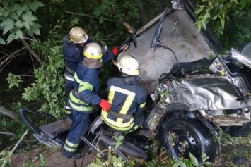 В Кривом Роге в ДТП автомобиль разбился «всмятку», погибли водитель и пассажир