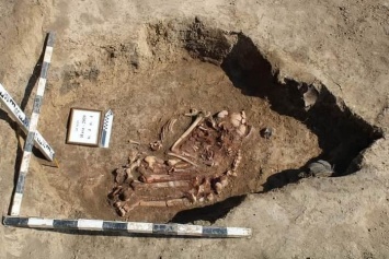 Под Мариуполем археологическая экспедиция нашла кости древнего человека, - ФОТО