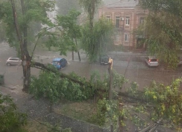 9 поваленных деревьев, забитые ливневки и затопленные здания: итоги ливня с градом в Днепр