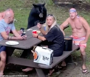 Медведь пришел к людям на пикник