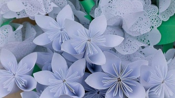 В Крыму с 19 по 26 сентября пройдет благотворительная акция «Белый цветок»