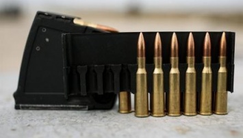В Чехии российского дипломата поймали на незаконной покупке патронов для снайперской винтовки