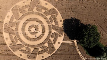 Круг на пшеничном поле в Баварии притягивает любителей эзотерики (ФОТО)
