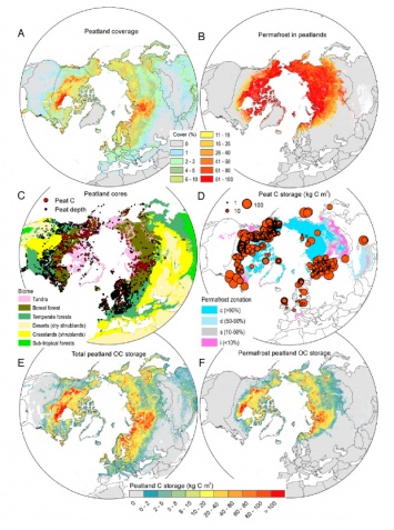 Ученые впервые посчитали объем всех торфяников и как они влияют на климат Земли
